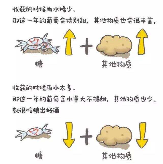 喝了那么多年的红酒，你知道喝下去的是什么吗？