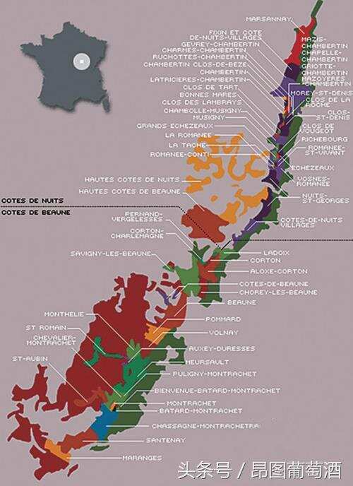 法国勃艮第产区上演富豪地盘抢夺战，达1500万欧元/公顷！