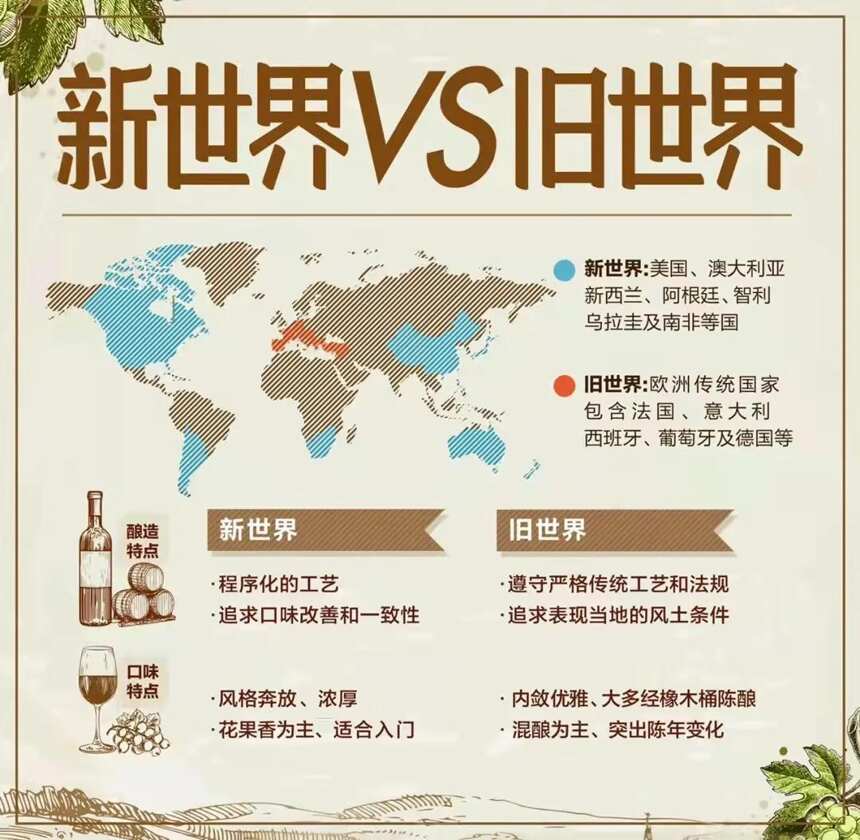 红酒小知识看完涨姿势