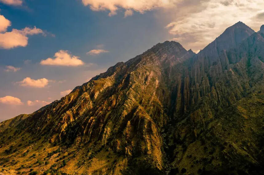 画峰：贺兰山下葡萄天成，用心酿造不敢人工