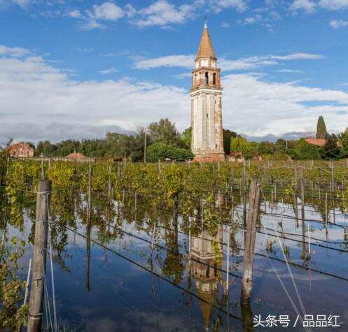 全球变暖导致葡萄酒价格上涨？