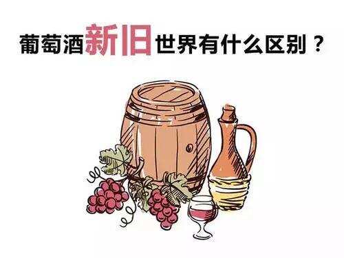 葡萄酒的新旧世界