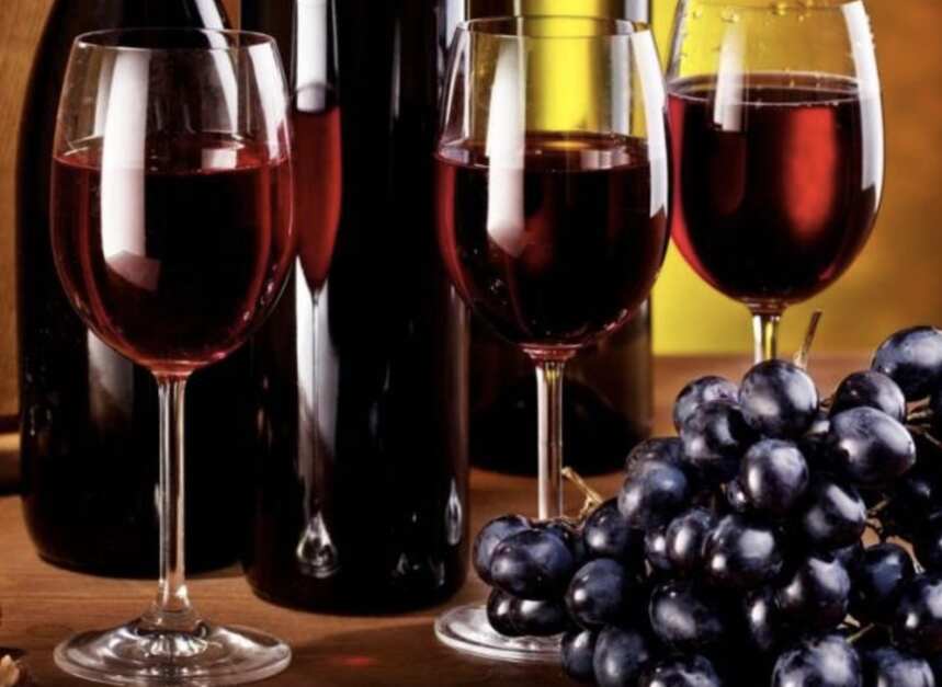 烟台进口葡萄酒业大进步，法智美澳酒业签约智利酒庄