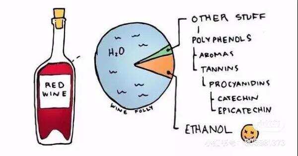 红酒小知识，看完涨姿势