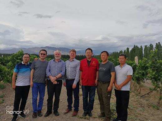 南疆，在加入世界优质葡萄酒产区的行列中砥砺前行