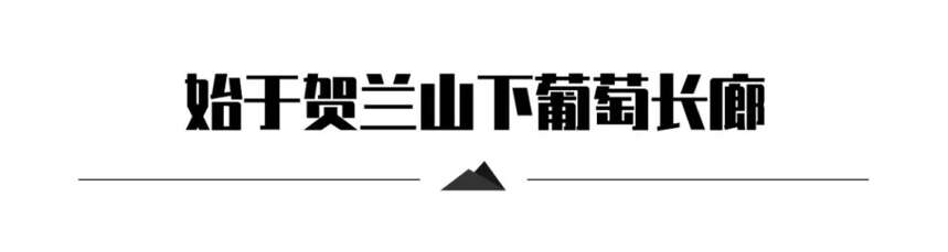 留世酒庄 | 传承华夏，留芳百世，流向世界