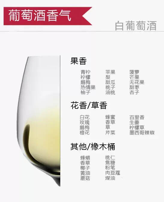 12张图带你认识葡萄酒的正确姿势