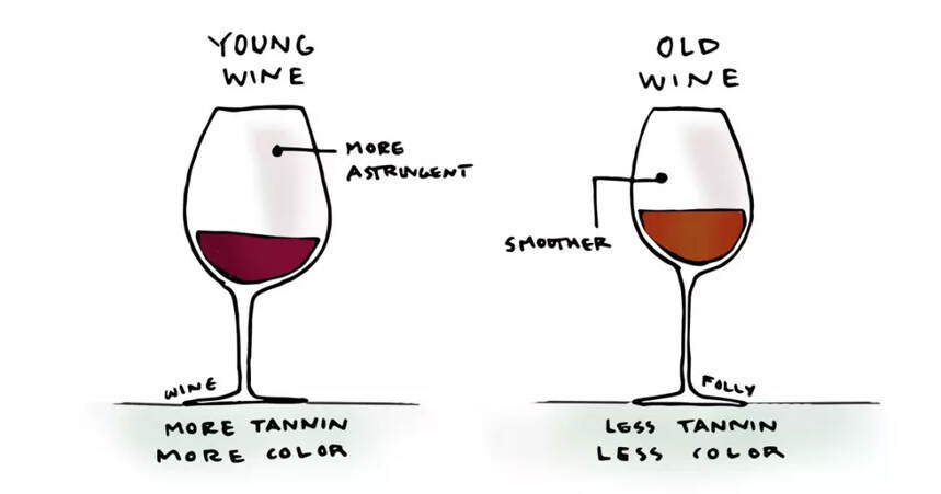 10个关于红葡萄酒的有趣事实！