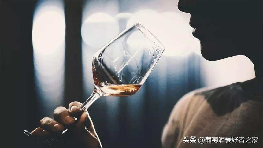 酒神贾叶推崇备至的风土品鉴法