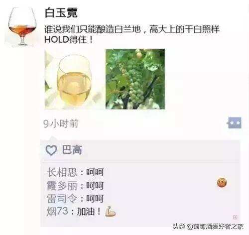 当葡萄酒也玩朋友圈，画风是这样的