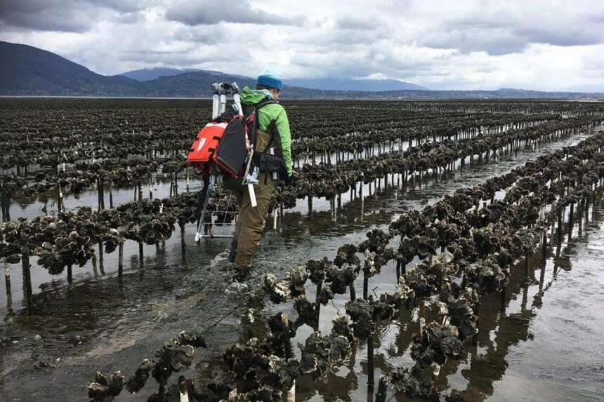 吃生蚝要配什么酒？请看夏日必备的“食蚝指南”