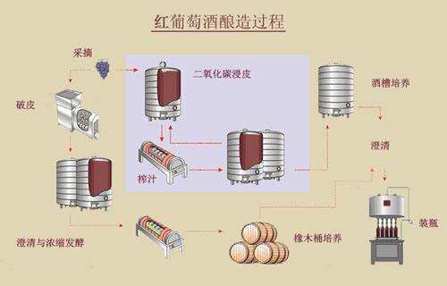 解密天价葡萄酒背后真相，到底贵在哪里？