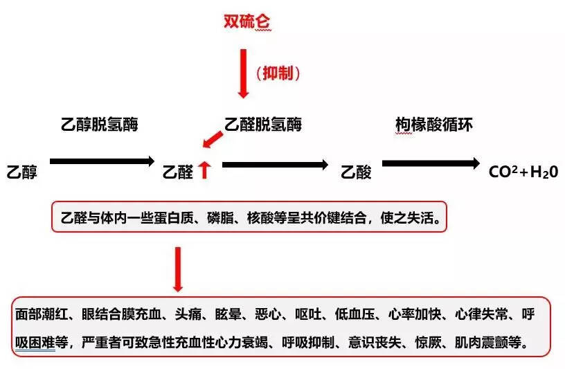 除了头孢，服这7类药物饮酒也致死