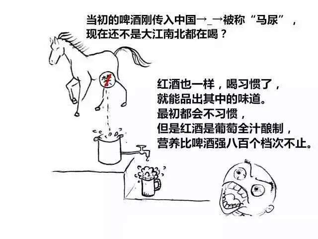 为什么你会觉得红酒不好喝？