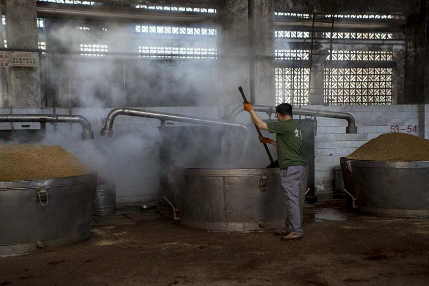 酱酒“豫热”，令人心动