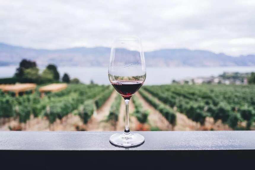 红酒和葡萄酒到底有什么区别？| 富隆酒业