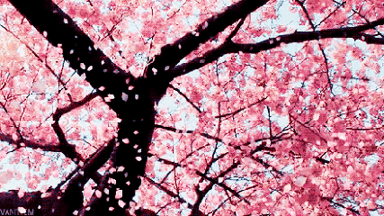 春天最美是樱花？比樱花更美的非桃红葡萄酒莫属