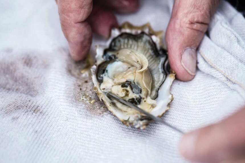 吃生蚝要配什么酒？请看夏日必备的“食蚝指南”