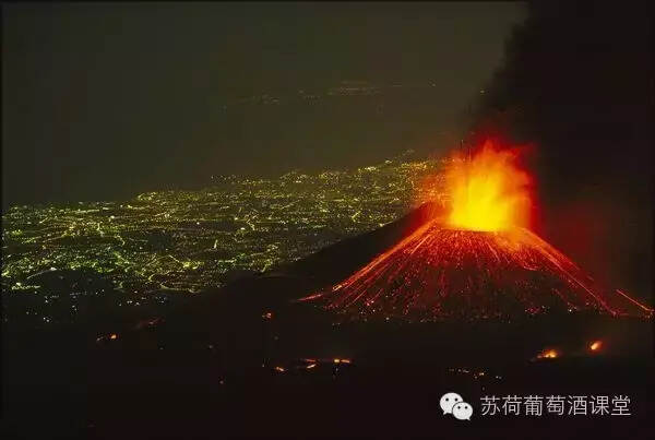 西西里岛西拉：葡萄酒大赛金奖 橡木桶熟化8个月 浓郁成熟水果味