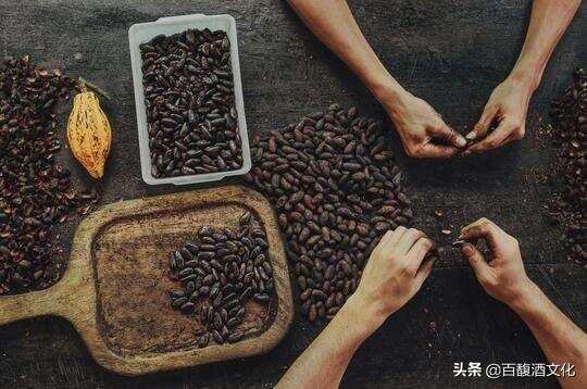 “生物动力法”的巧克力是什么味道？