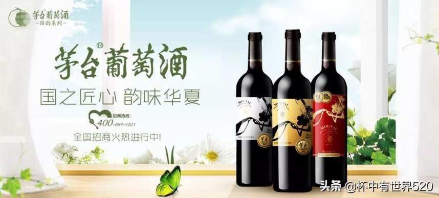 葡萄酒，新世界好还是旧世界好？