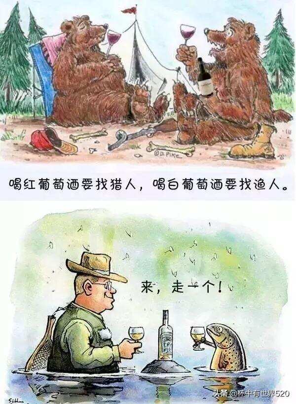 是葡萄酒知识？还是葡萄酒笑话？