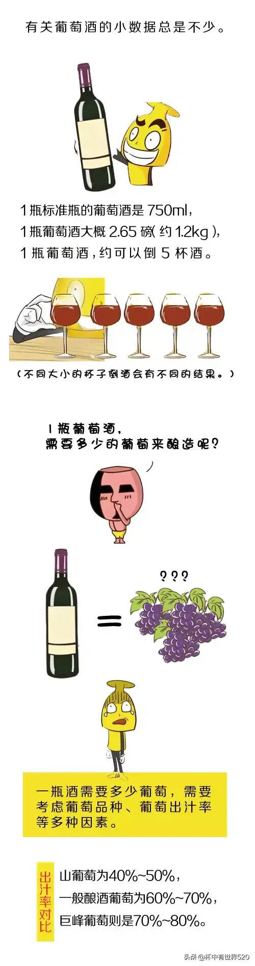 一瓶葡萄酒需要多少葡萄？看完震撼了