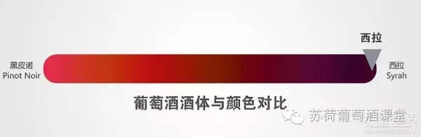 西西里岛西拉：葡萄酒大赛金奖 橡木桶熟化8个月 浓郁成熟水果味