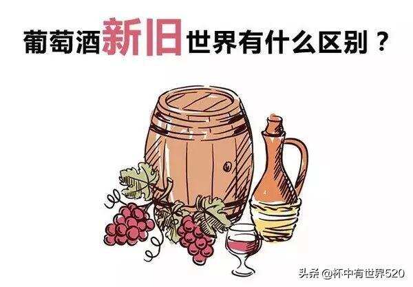 葡萄酒，新世界好还是旧世界好？