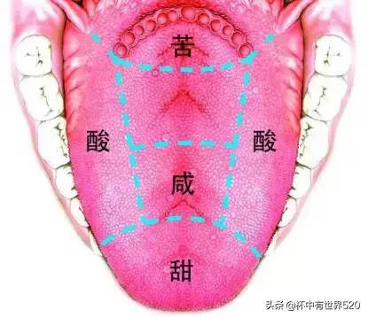 我喝的葡萄酒为什么会有酸味，这是我见过最全的回答