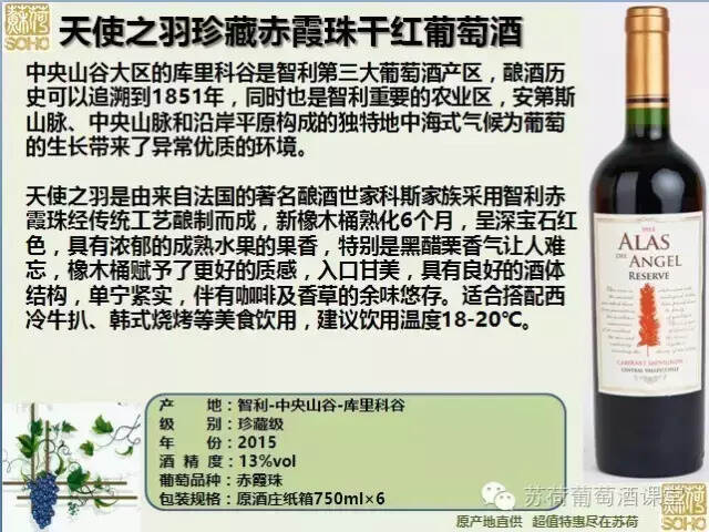 天使之羽珍藏赤霞珠：法国传统工艺和智利赤霞珠的精妙结合