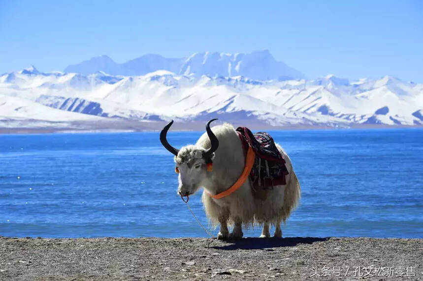 明天起，这些新规将影响你的生活