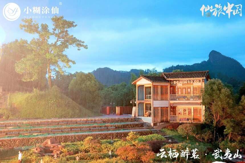 云栖醉茗·武夷山站圆满结束，小糊涂仙与你共鉴自然风光