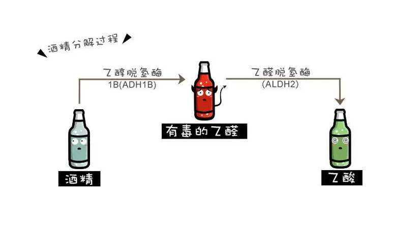 喝多了难受怎么办？教你几个小妙招？