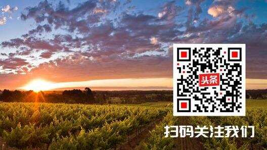 WINE TALKS 酒之密语  | 2. 葡萄酒类缤纷多彩，哪款才是你的最爱