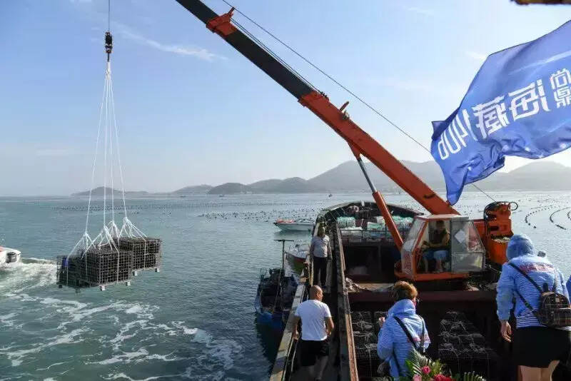 开幕在即首届海藏酒节堲海藏壹号品鉴会在蓬莱举办