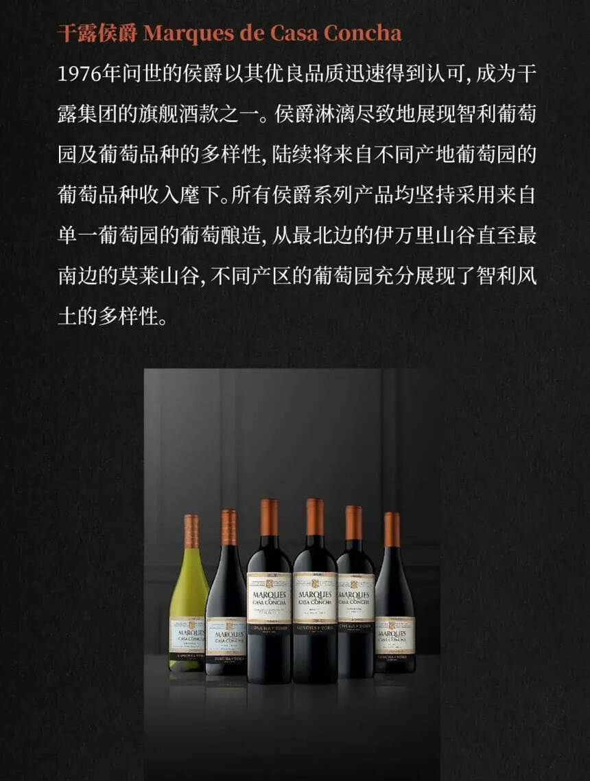 大师的卓越远见缔造世界级酒庄——干露酒庄