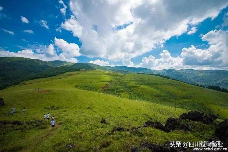 燕麦酒之乡——会东