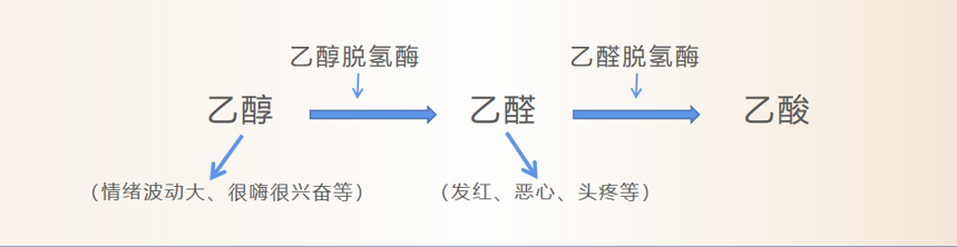 如何一眼看出对方的酒量属于哪个等级？原来如此！