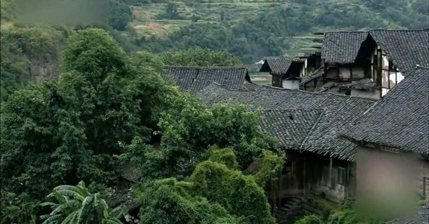 从神秘的茅台到惊艳的「大烧坊」