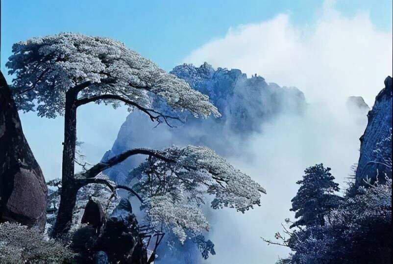 食味百城 | 安徽，徽州山水间