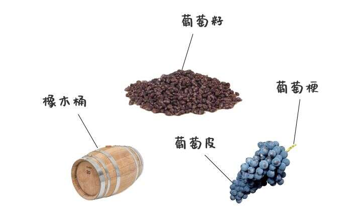 WINE TALKS 酒之秘语  | 1. 什么是葡萄酒？