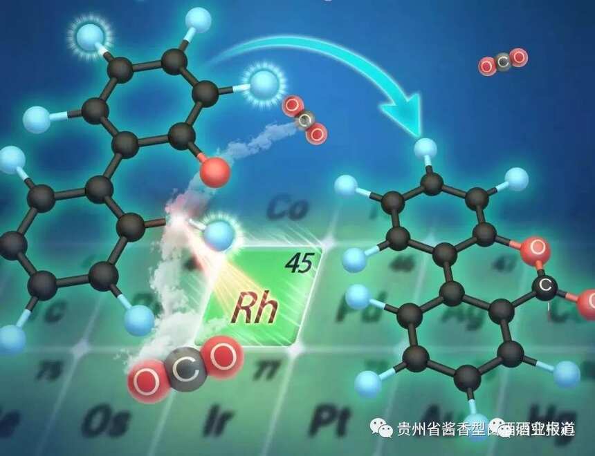 好酒认知篇之二：科学掩护下的好酒神回答和好酒神标准