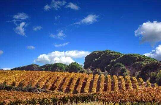 「精彩回顾」Topwine北京法国尼姆产区大师班——品味泉水精灵的独特风土