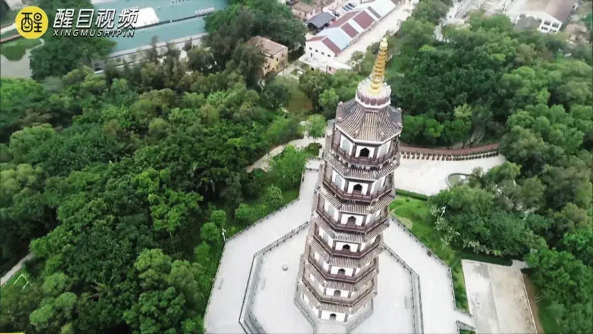 谷雨大典，陈太吉酒庄开库盛况空前