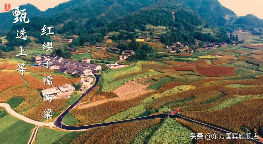 “大酱香”时代已来临，东方国宾酒业发展势如破竹