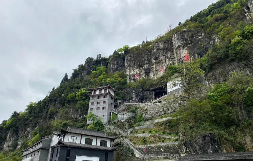 广州国际名酒展｜龟仙洞酒惊艳亮相一举成名