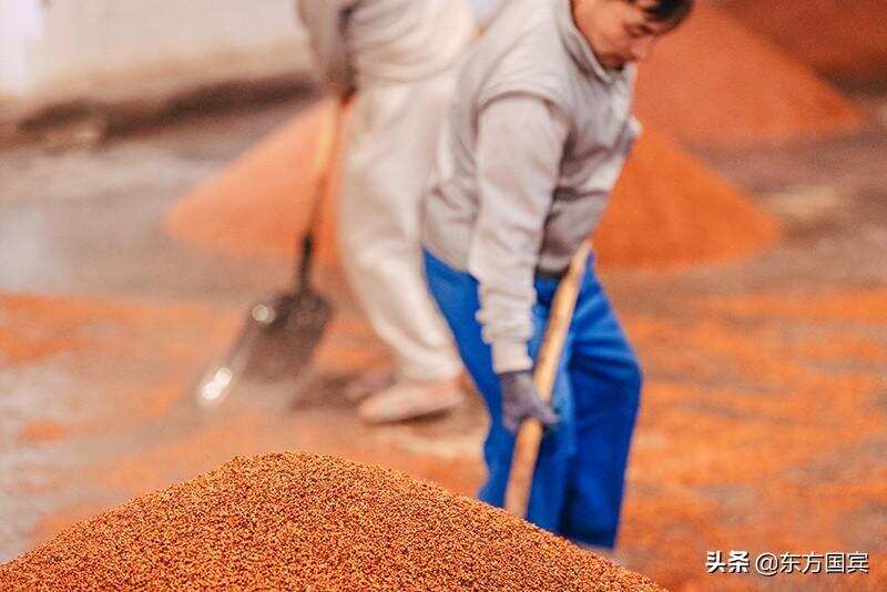 揭秘：东方国宾酱酒那一抹独特的香气，到底从何而来？