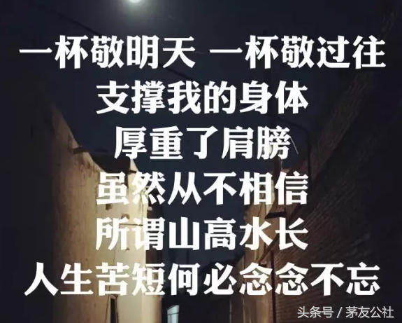 毛不易唱的这八杯酒—道尽了人生！薛之谦听了想跪，杨幂想流泪！