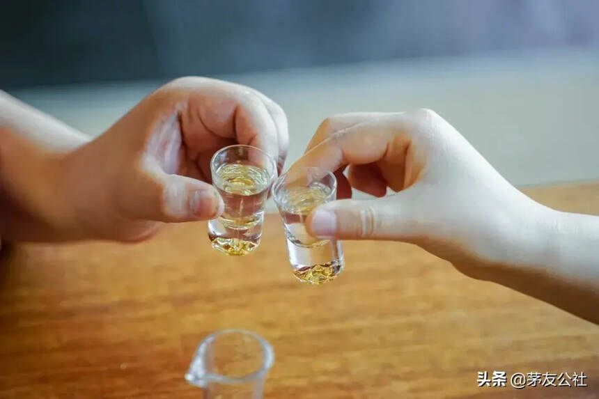 今夏流行的消暑美酒都在这里了